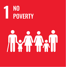 SDG 1 No Poverty